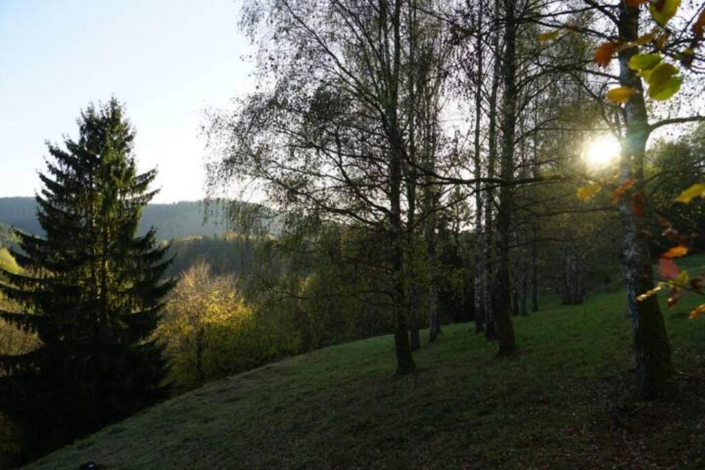 Ruhiges Ferienhaus Am Waldrand Mit Sauna Und Kamin - Hellaberg II Langenbach  ภายนอก รูปภาพ